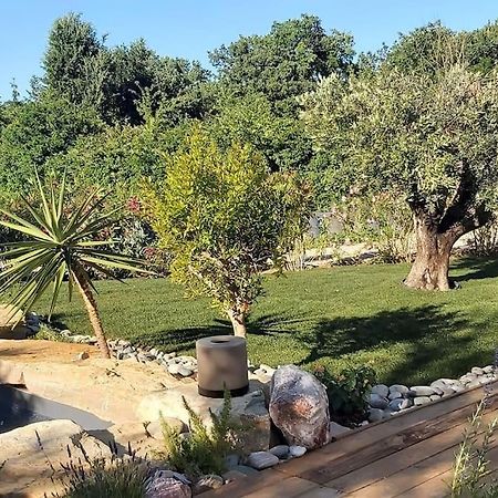 Une Oasis Au Pays De Cezanne Aix-en-Provence Eksteriør billede