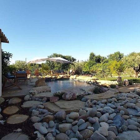 Une Oasis Au Pays De Cezanne Aix-en-Provence Eksteriør billede