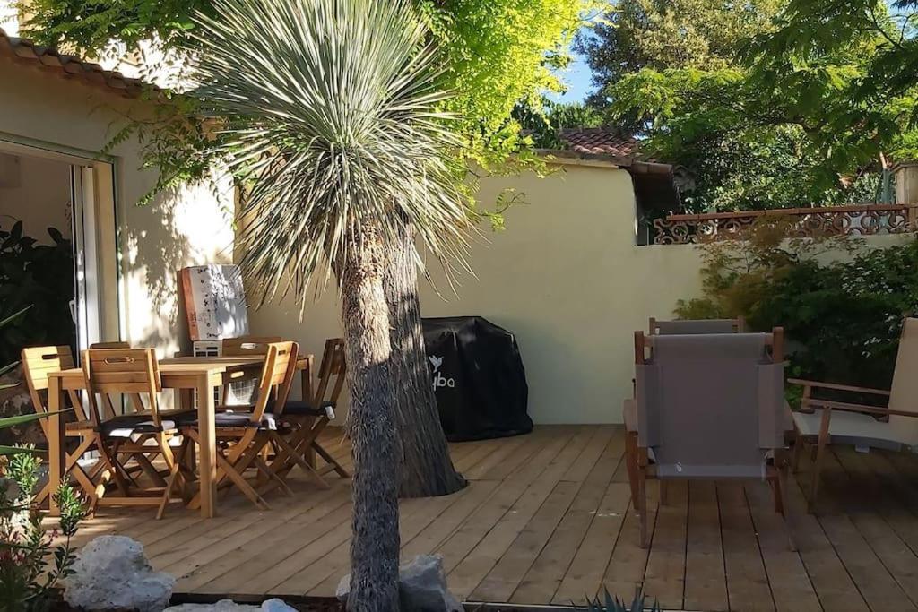 Une Oasis Au Pays De Cezanne Aix-en-Provence Eksteriør billede
