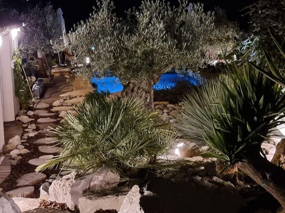 Une Oasis Au Pays De Cezanne Aix-en-Provence Eksteriør billede