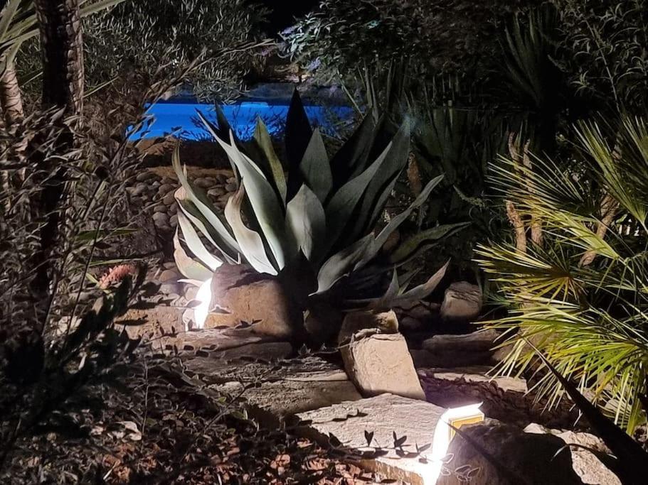 Une Oasis Au Pays De Cezanne Aix-en-Provence Eksteriør billede