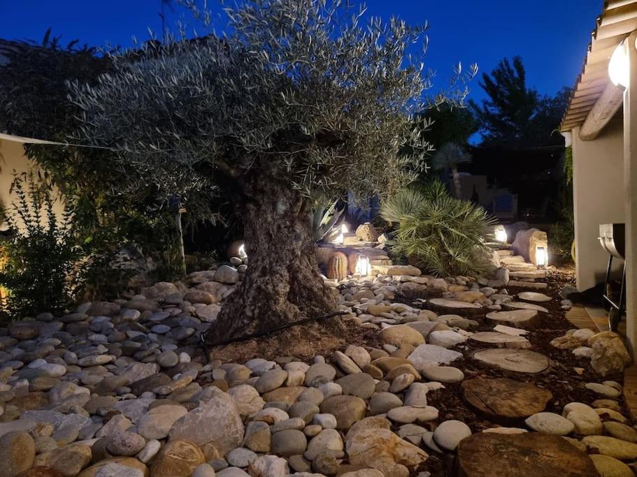 Une Oasis Au Pays De Cezanne Aix-en-Provence Eksteriør billede